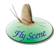 Flyscene