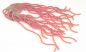 Preview: Squirmy Worms