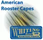 Preview: Whiting American Rooster Capes