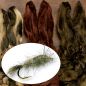 Preview: Hare s Mask Natur