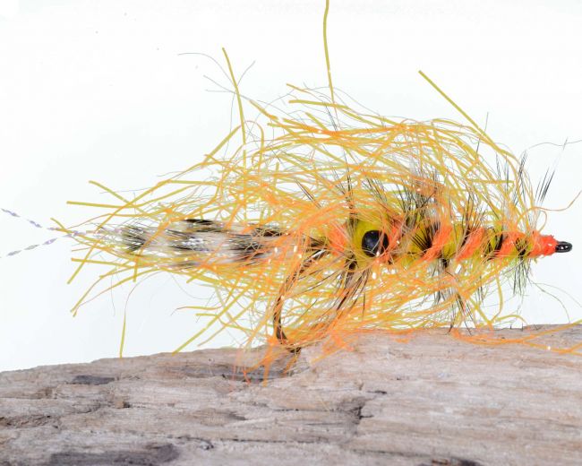 Polar Chenille Shrimp Orange