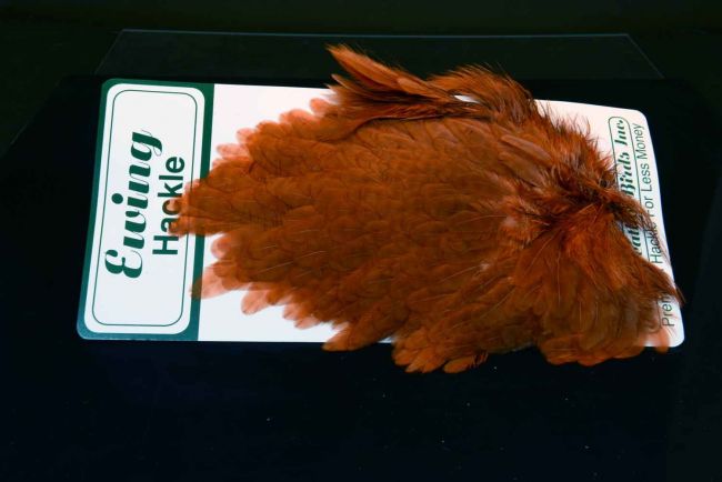 Ewing  Hen Saddle