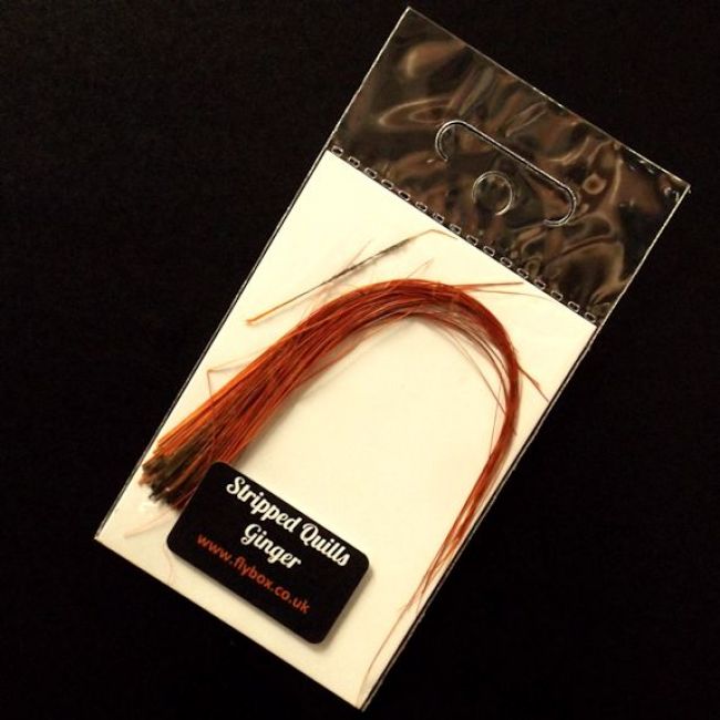 Fly Box Stripped Peacock Quills