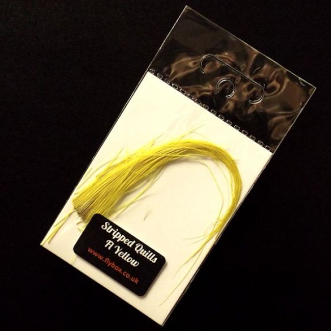 Fly Box Stripped Peacock Quills