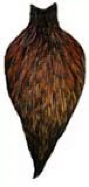 Whiting American Rooster Capes