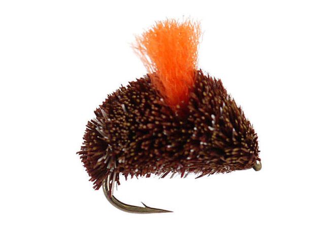 Brown Bisquit Trockenfliege
