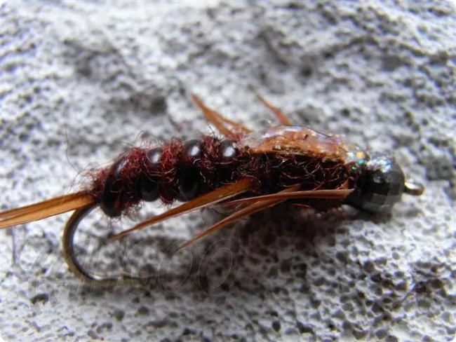 Yangoo Disco MShade Stonefly Brown barbed Nymphe