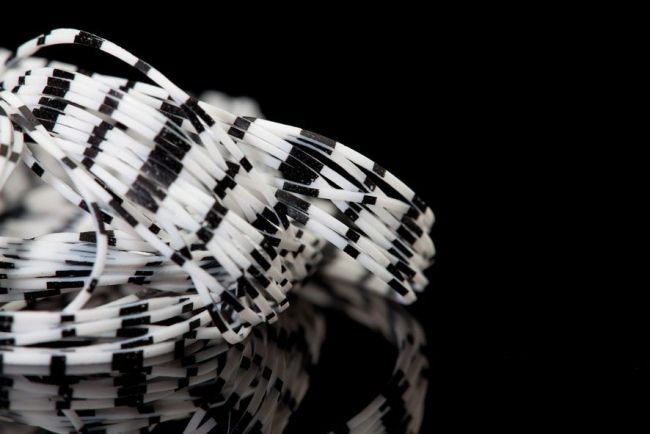 Black Barred Crazy Legs