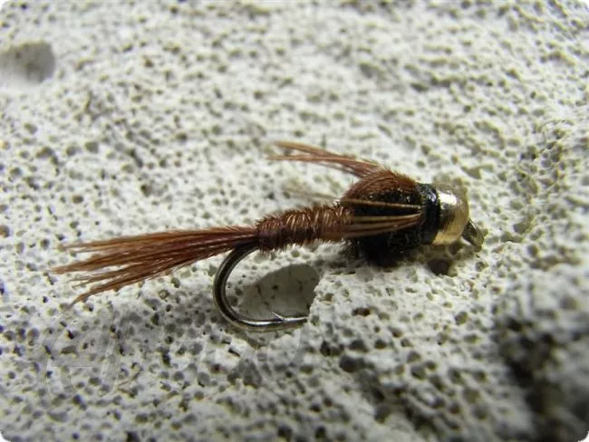 Yangoo GH Pheasant Tail barbed Nymphe