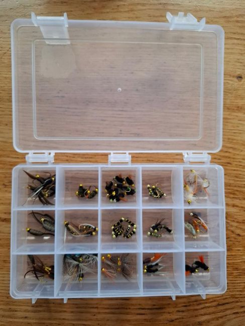 Goldkopfnymphen-Set