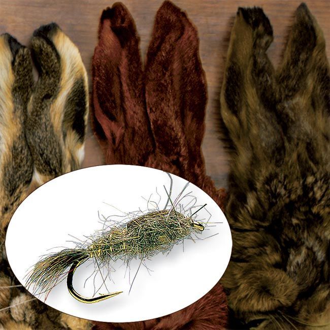 Hare s Mask Natur