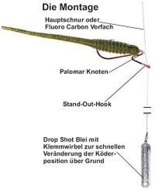 Stand Out Hook  Raubfischhaken