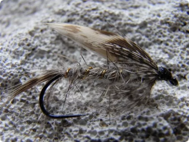 Yangoo Wet March Brown barbless Nassfliege