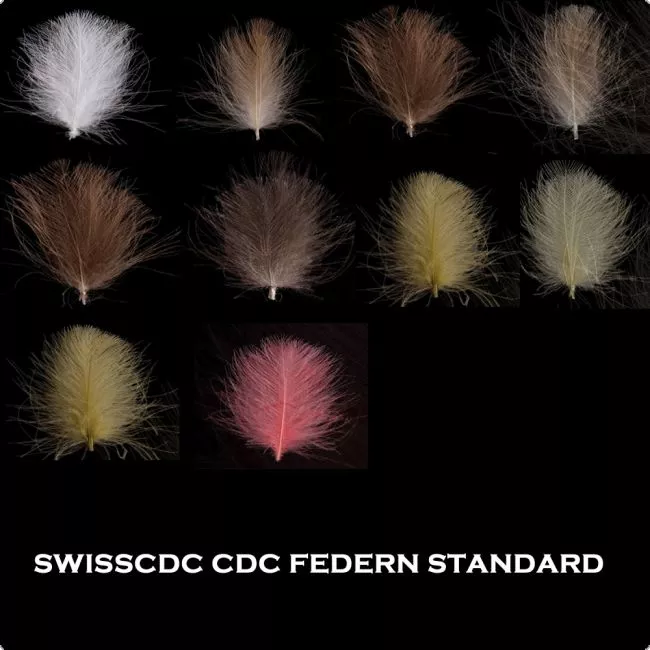 SWISS CDC-Standard