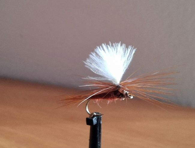 CDC Parachute Brown Gr.16