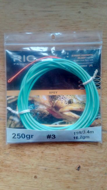 RIO Skagit Trout Max Schußkopf