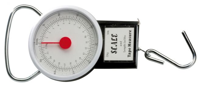 Präzisionswaage 22kg Raubfischzubehör