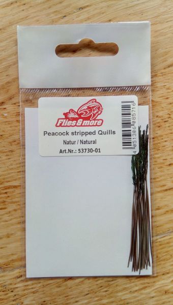 Peacock stripped Quills
