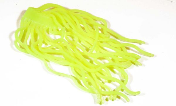 Squirmy Worms