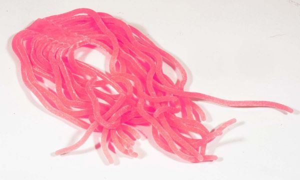 Squirmy Worms