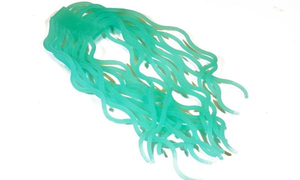 Squirmy Worms