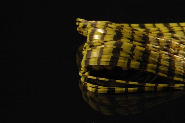 Black Barred Crazy Legs