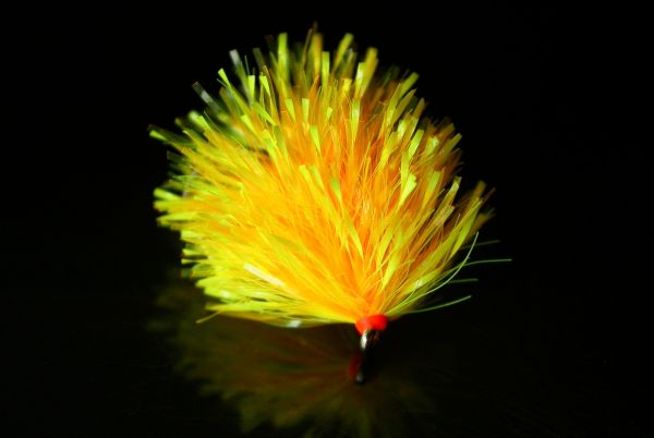 Neon-10 Flu Orange
