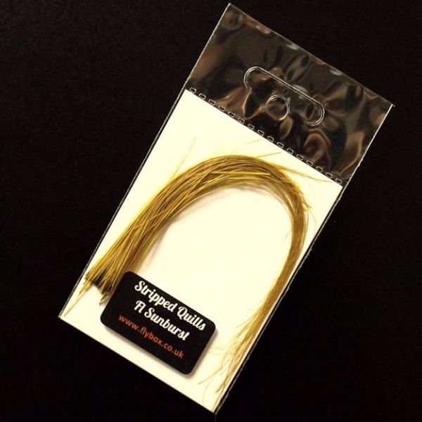 Fly Box Stripped Peacock Quills