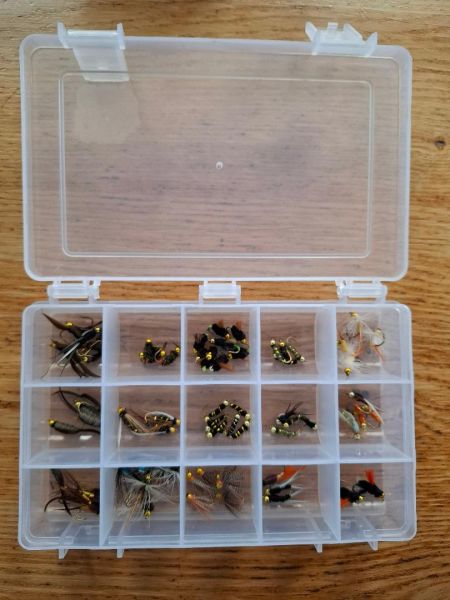 Goldkopfnymphen-Set