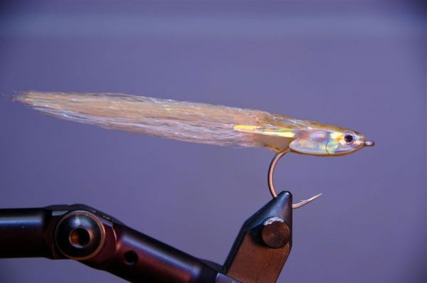 Bob Popovics Fleye Foils Bay Anchovy