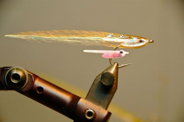 Bob Popovics Fleye Foils Bay Anchovy