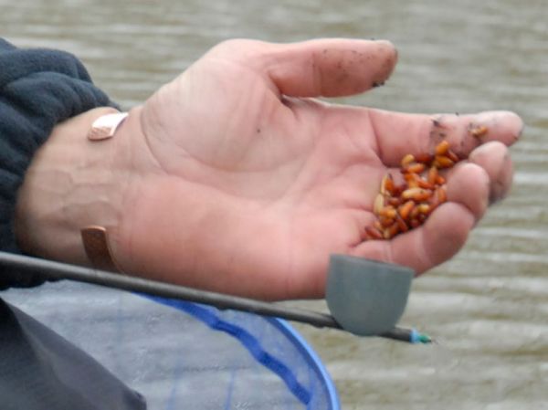 Preston CAD und Carp Pots Stippzubehör
